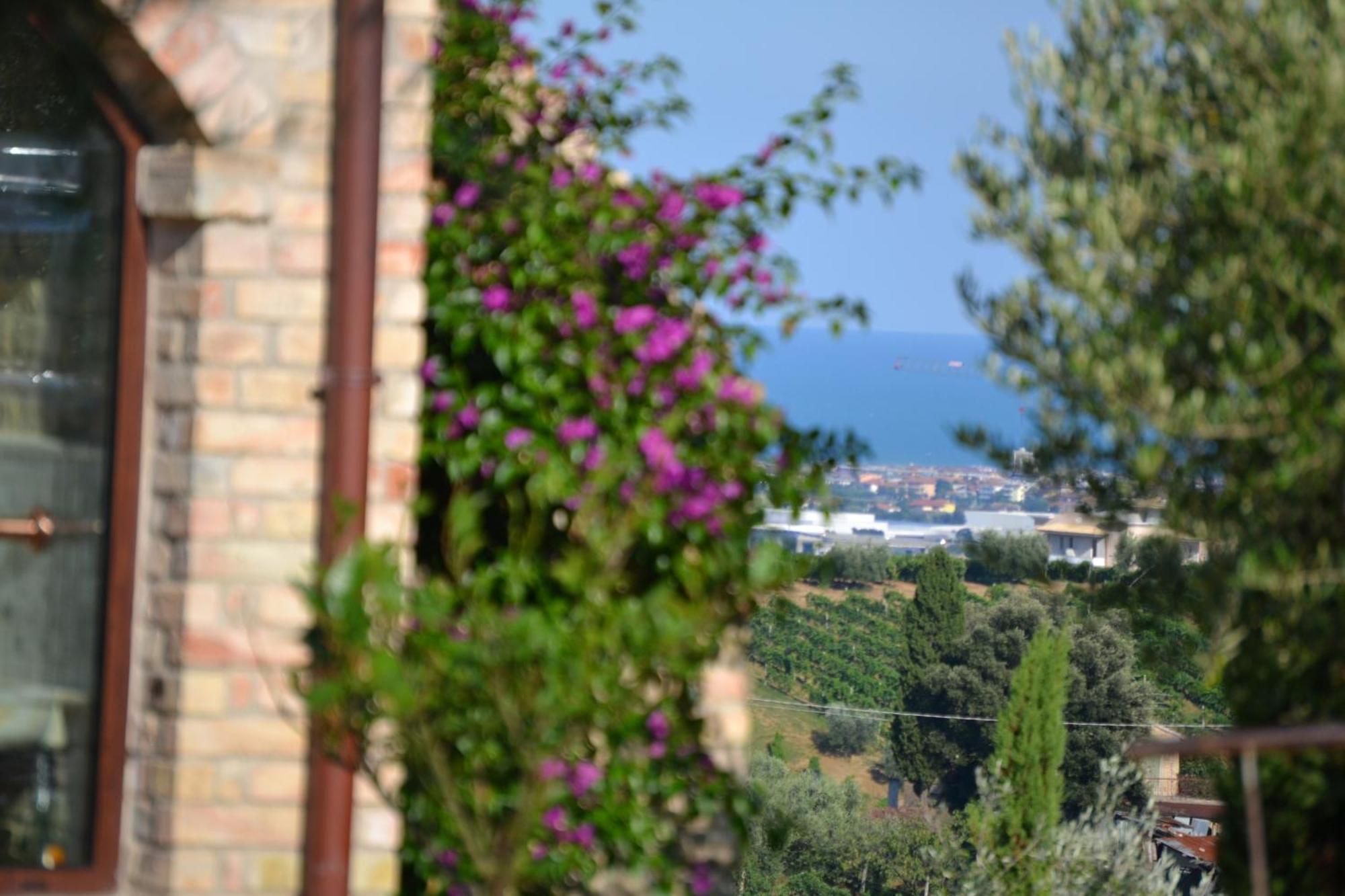 Agriturismo Il Sapore Della Luna Monteprandone Ngoại thất bức ảnh
