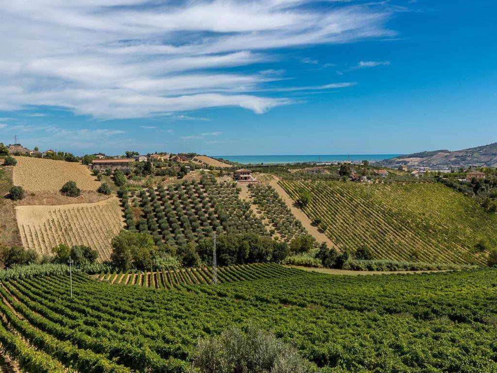 Agriturismo Il Sapore Della Luna Monteprandone Ngoại thất bức ảnh